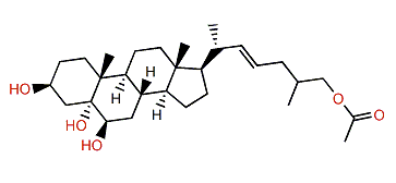 Carijoid A